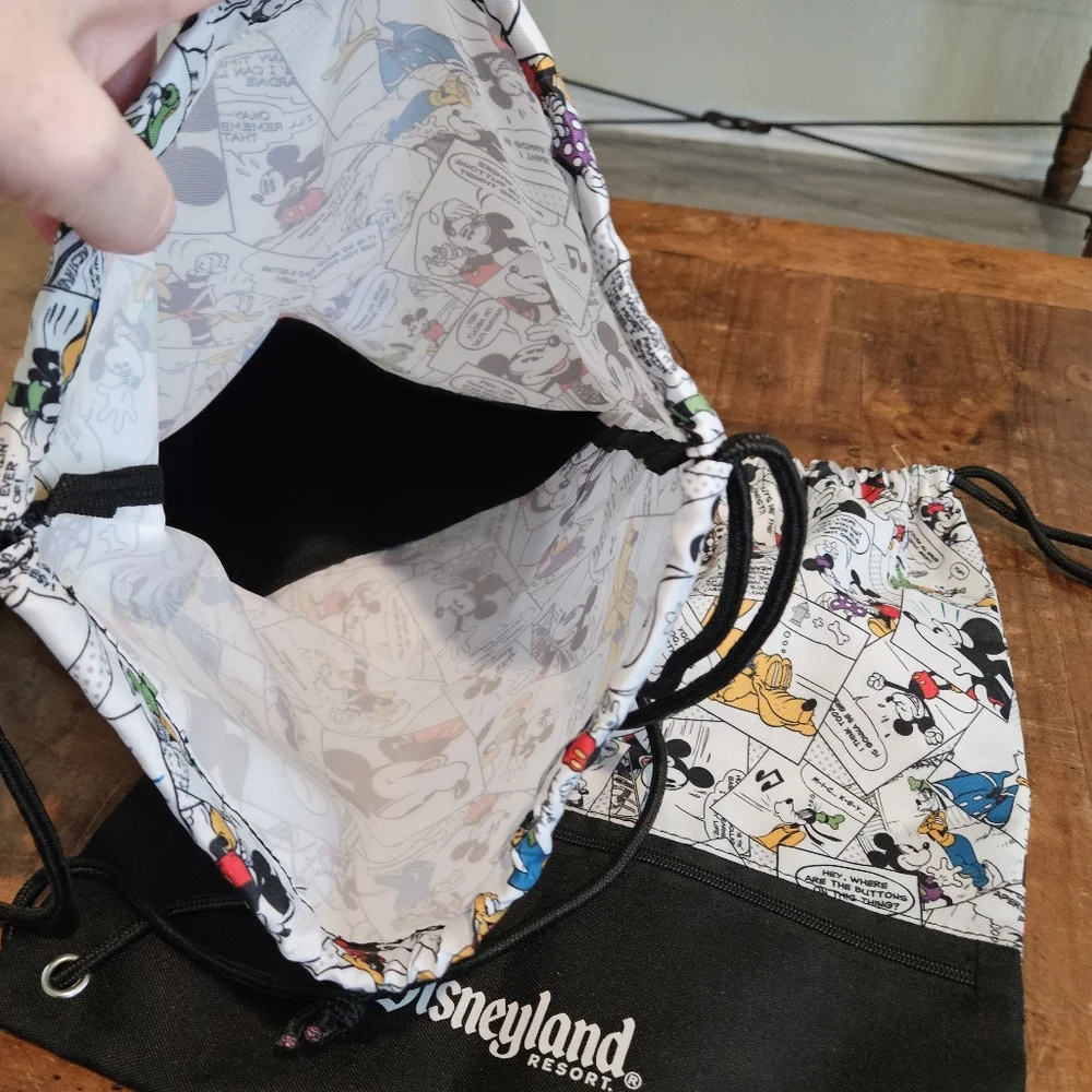 Two Disneyland Resort Mickey and Friends Cartoon Cinch Bags